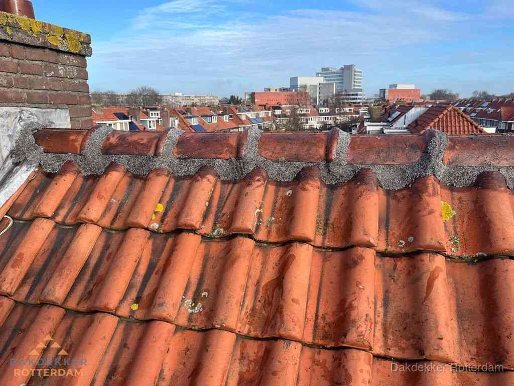 Nieuw bitumen plat dak met uitzicht over woonwijk in Rotterdam