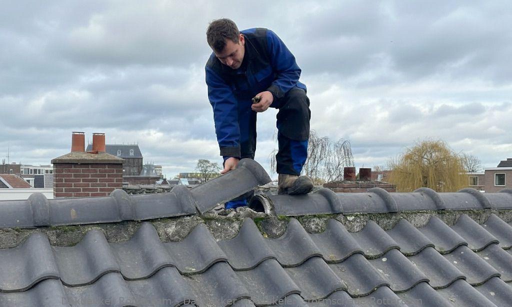 Dakdekker Inschakelen Stormschade Rotterdam