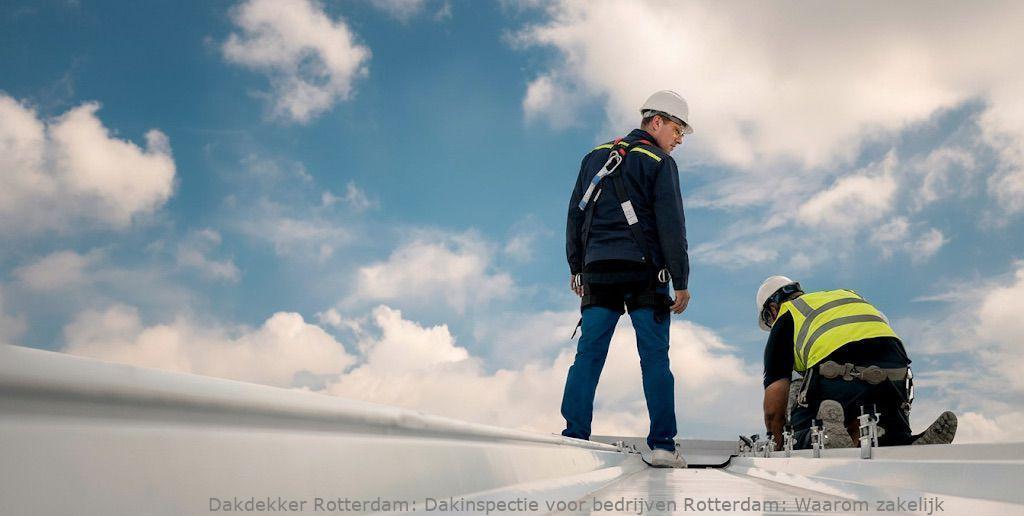Dakinspectie Voor Bedrijven Rotterdam