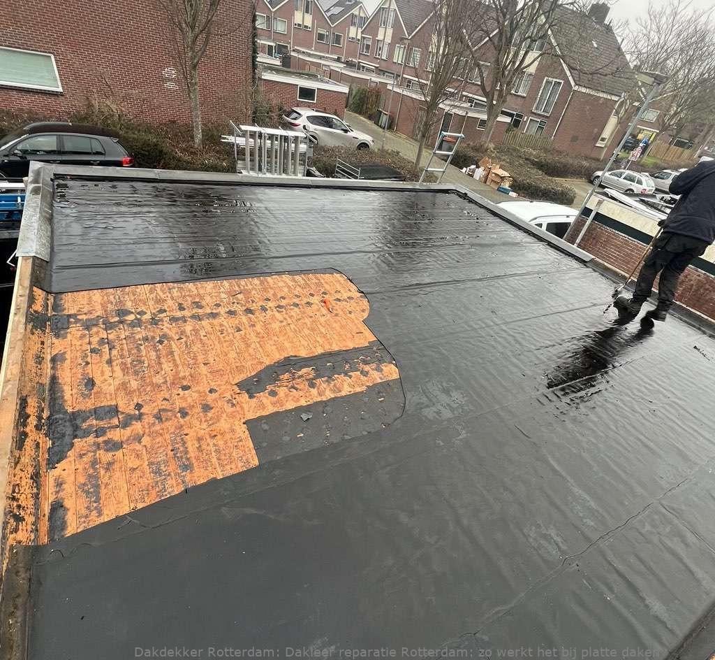 Dakleer Reparatie Rotterdam