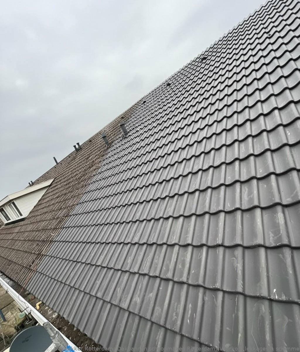 Dakpannen Schoonmaken Rotterdam