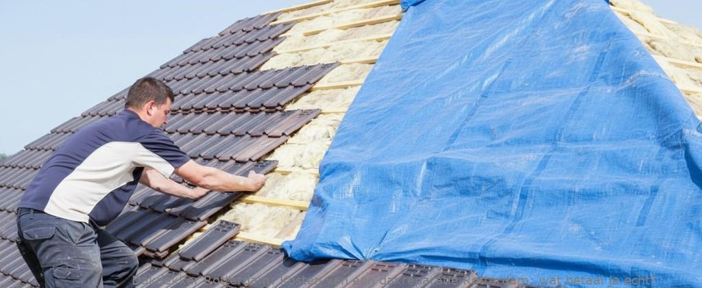 Kosten Van Een Dakreparatie Rotterdam