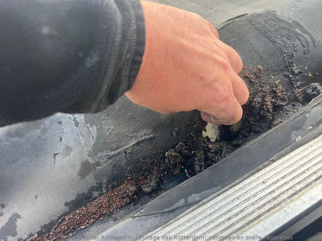 Lekkage Plat Dak Rotterdam 1