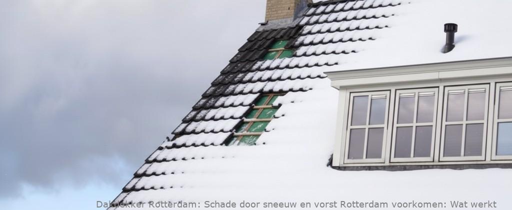 Schade Door Sneeuw En Vorst Rotterdam